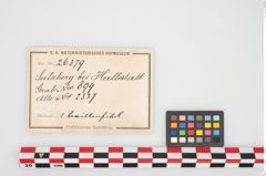 Etikett zu Bronzebrillenfibel (NHMW-PRAE-026379)